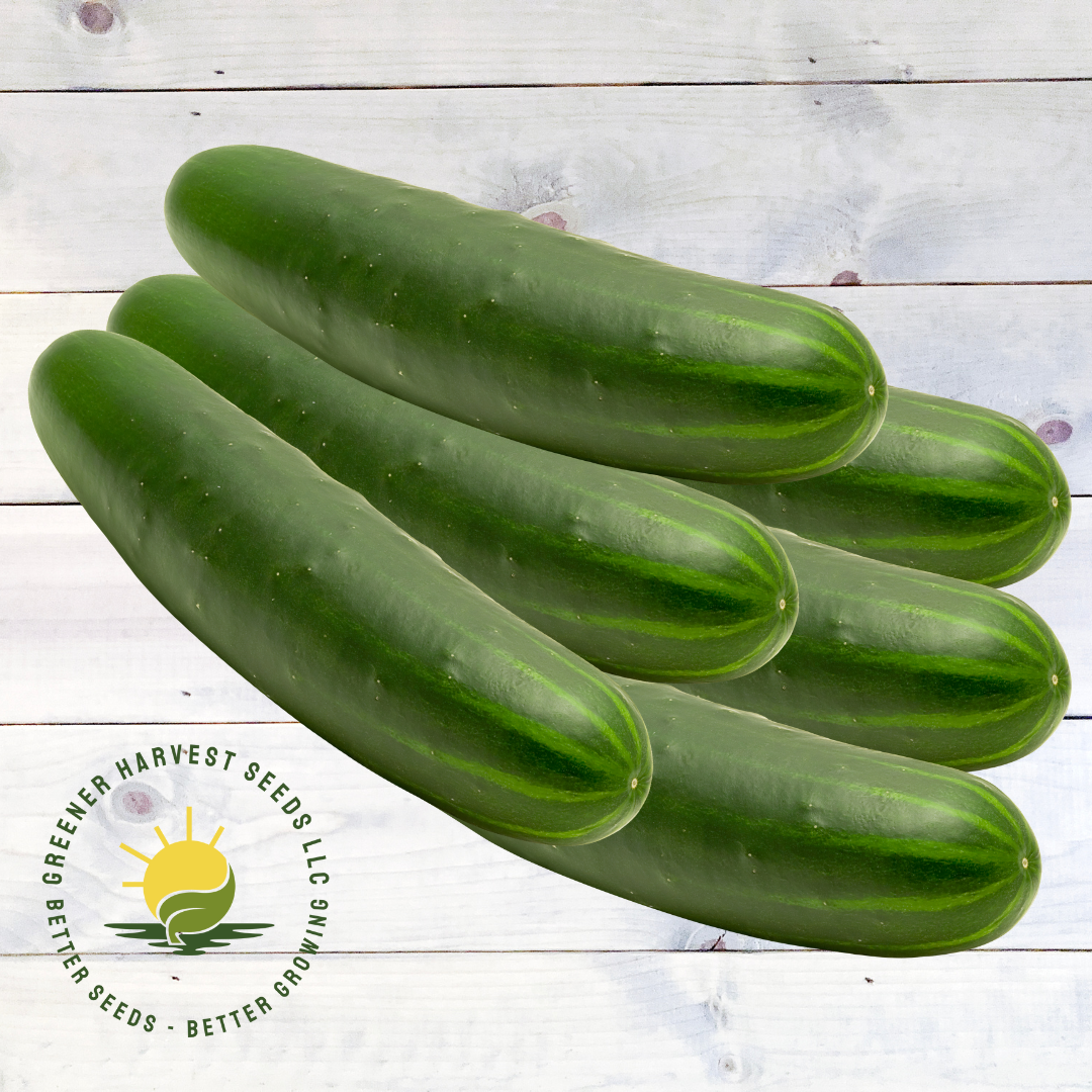 Cucumber - Long Green Improved- Slicing