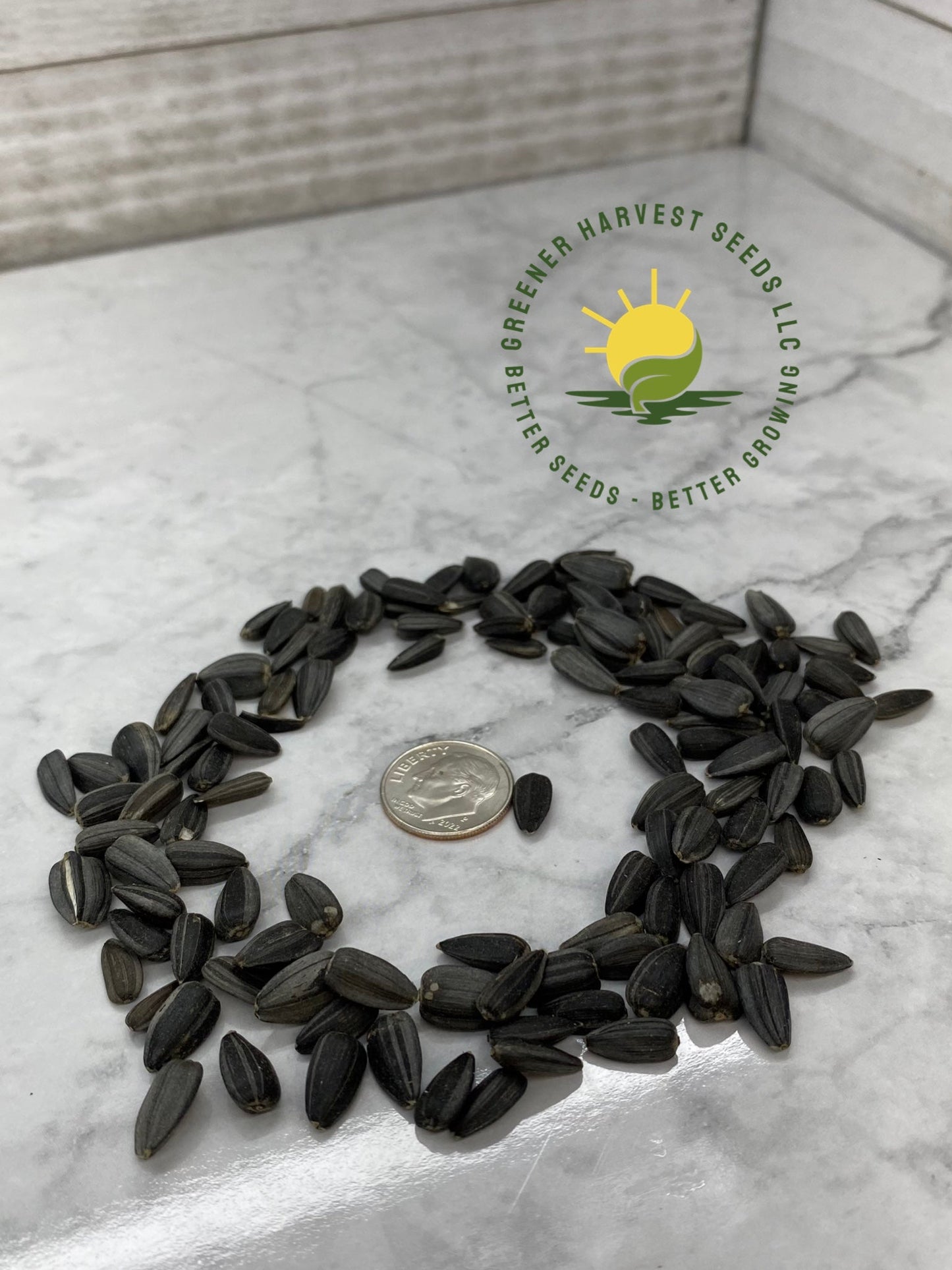 Organic Black Oil Sunflower Seeds - Small Seeded - Microgreens Seeds