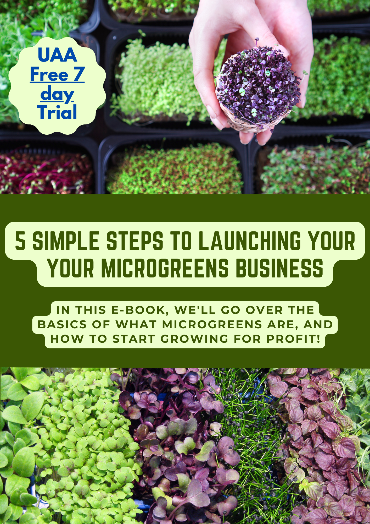 Free Ebook - Please read description