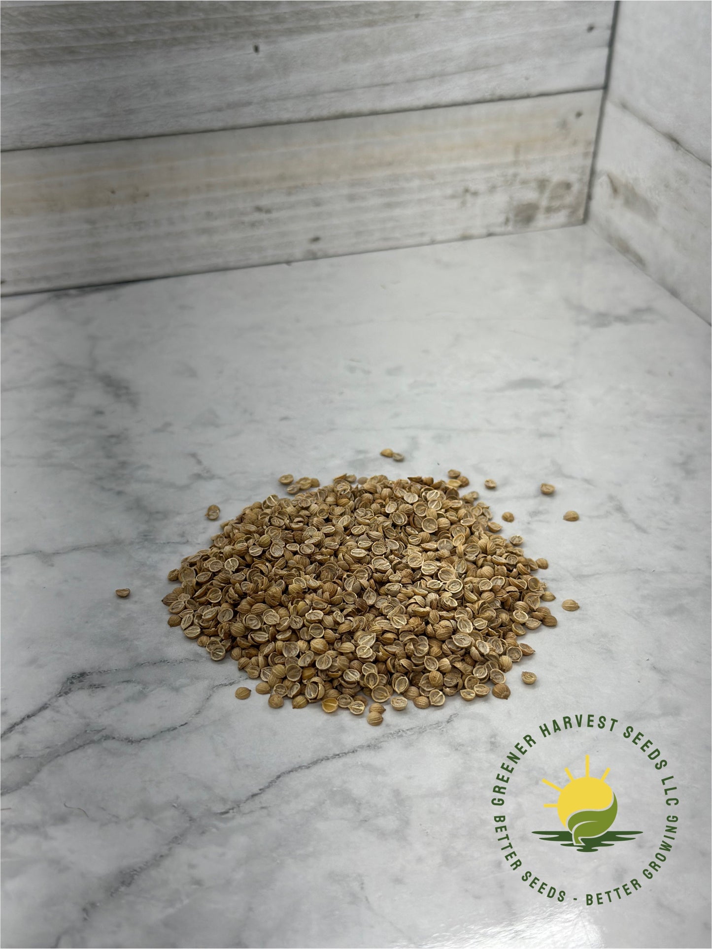 Cilantro Seeds - Leisure Splits