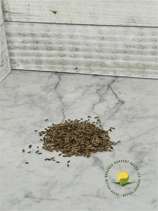 Dill - conventional