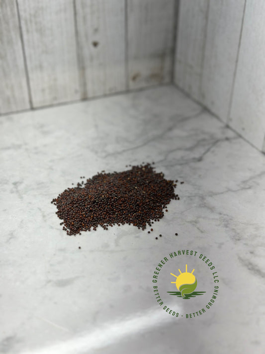 Mizuna Mustard - Conventional