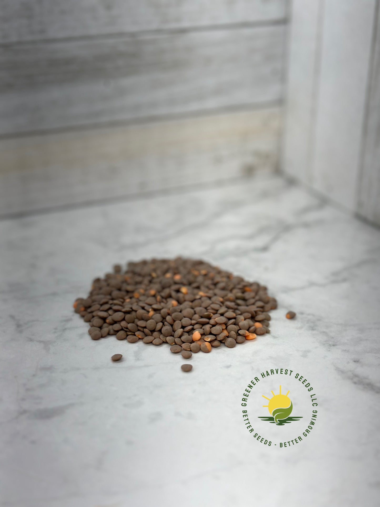 Lentil - Red - (organic)