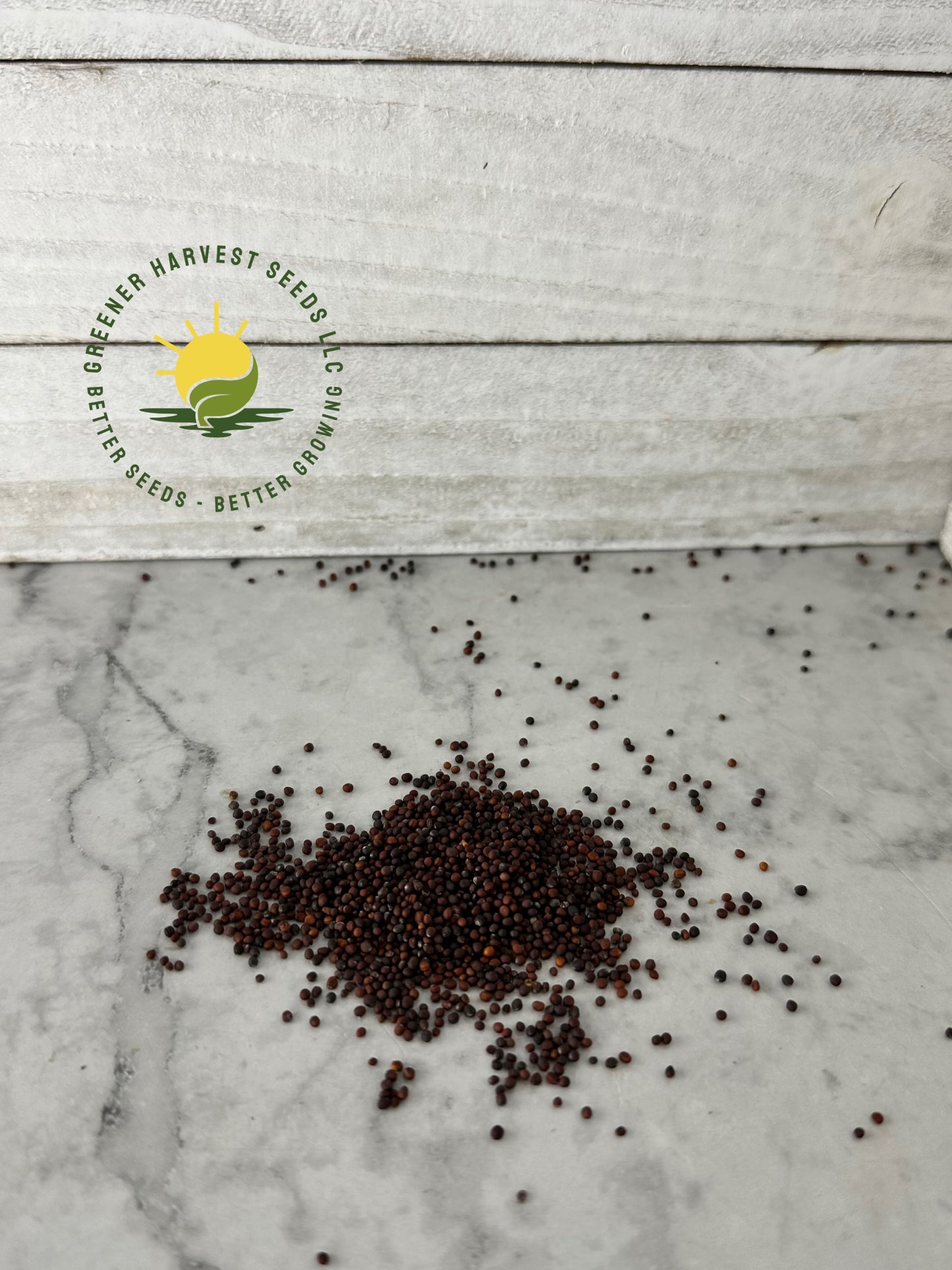 Chinese Cabbage Seeds -conventional