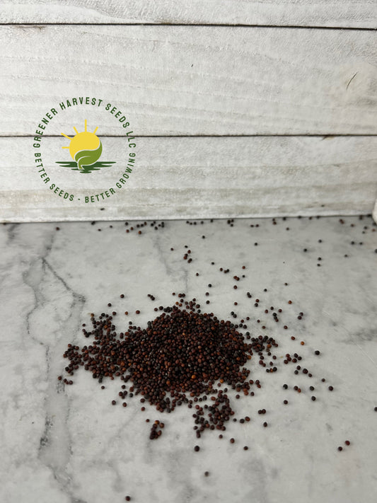 Chinese Cabbage Seeds -conventional