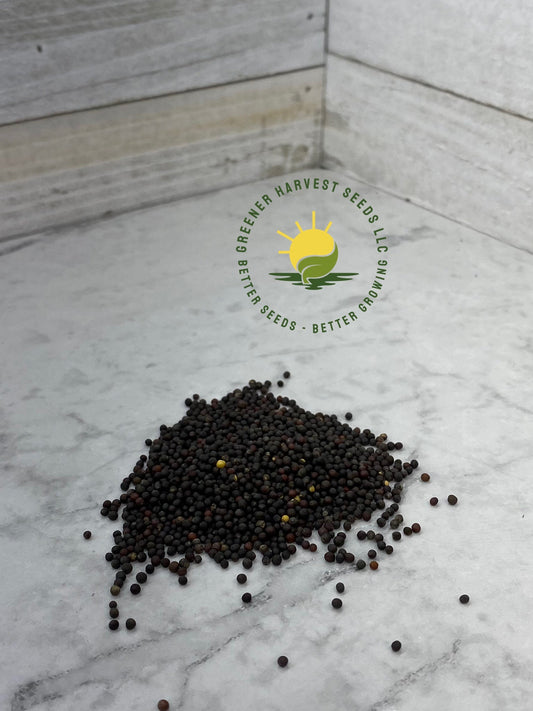 Dwarf Siberian Kale Microgreen Seeds (conventional)